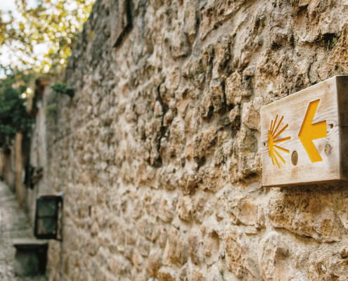 Guía del Camino de Santiago
