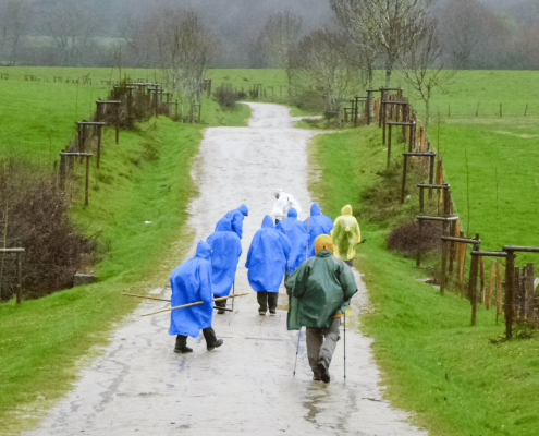 Descubre el Camino de Santiago